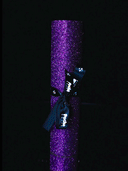 Tune In Tokyo Glitter Griptape