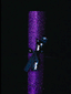 Tune In Tokyo Glitter Griptape
