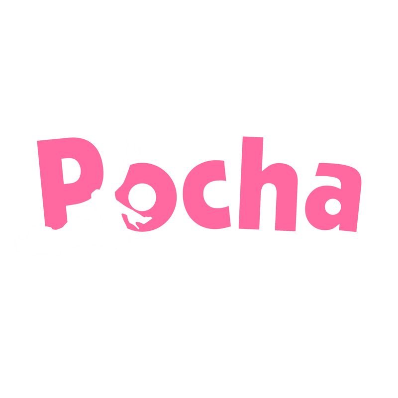 Pocha World